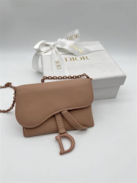 Dior saddle nano pouch